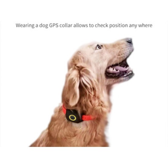 4G Mini Pet Gps İzleme Sistemi 4G Mini Pet Gps İzleme Sistemi