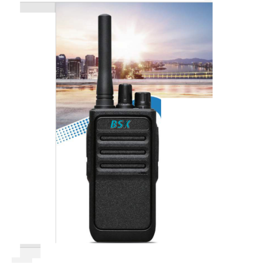 Bs 1000 Pmr 446 Li̇sansı El Telsizi