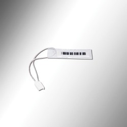 Soft Label 