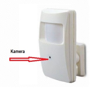 Alarm Dedektörü Görünümlü Kamera 